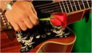 Escudo personalizado para instrumento